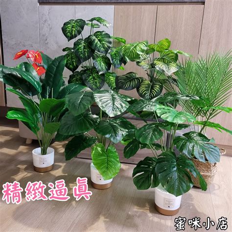 室內假植物|假植物保養小技巧